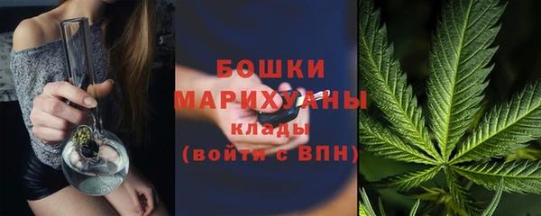 трава Коряжма