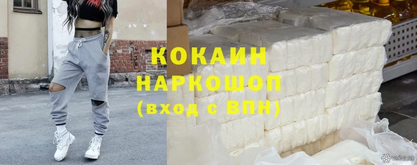 трава Коряжма