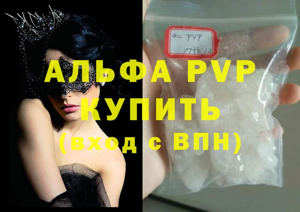 трава Коряжма
