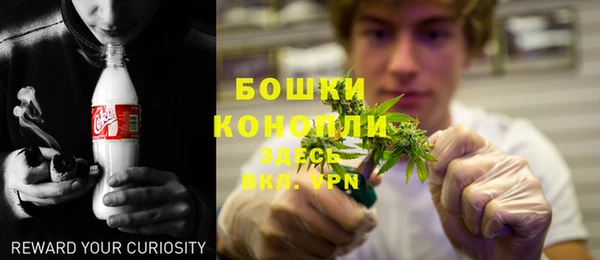 трава Коряжма