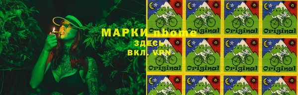 трава Коряжма