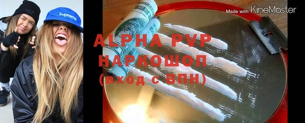 трава Коряжма