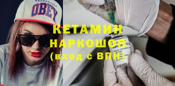 трава Коряжма