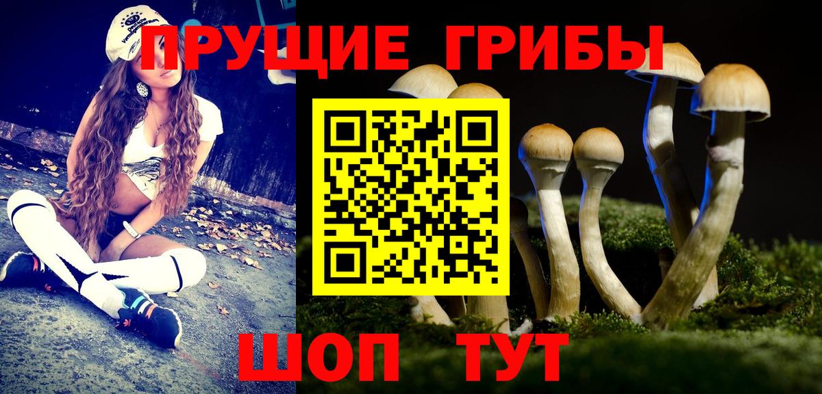 Галлюциногенные грибы Psilocybe Ижевск